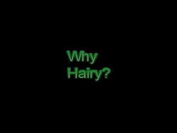 Why Hairy?